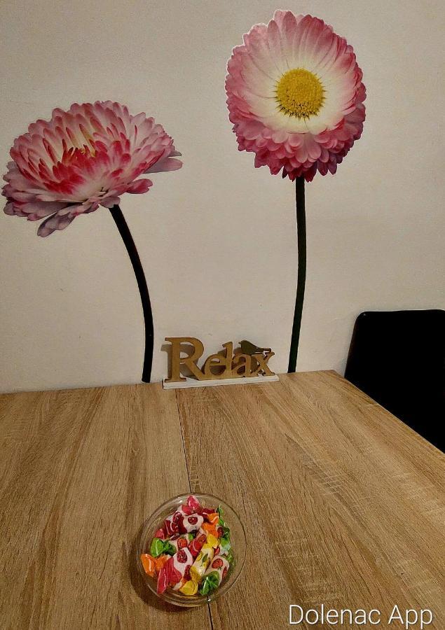 Appartement Studio Apartman Dolenac à Zagreb Extérieur photo